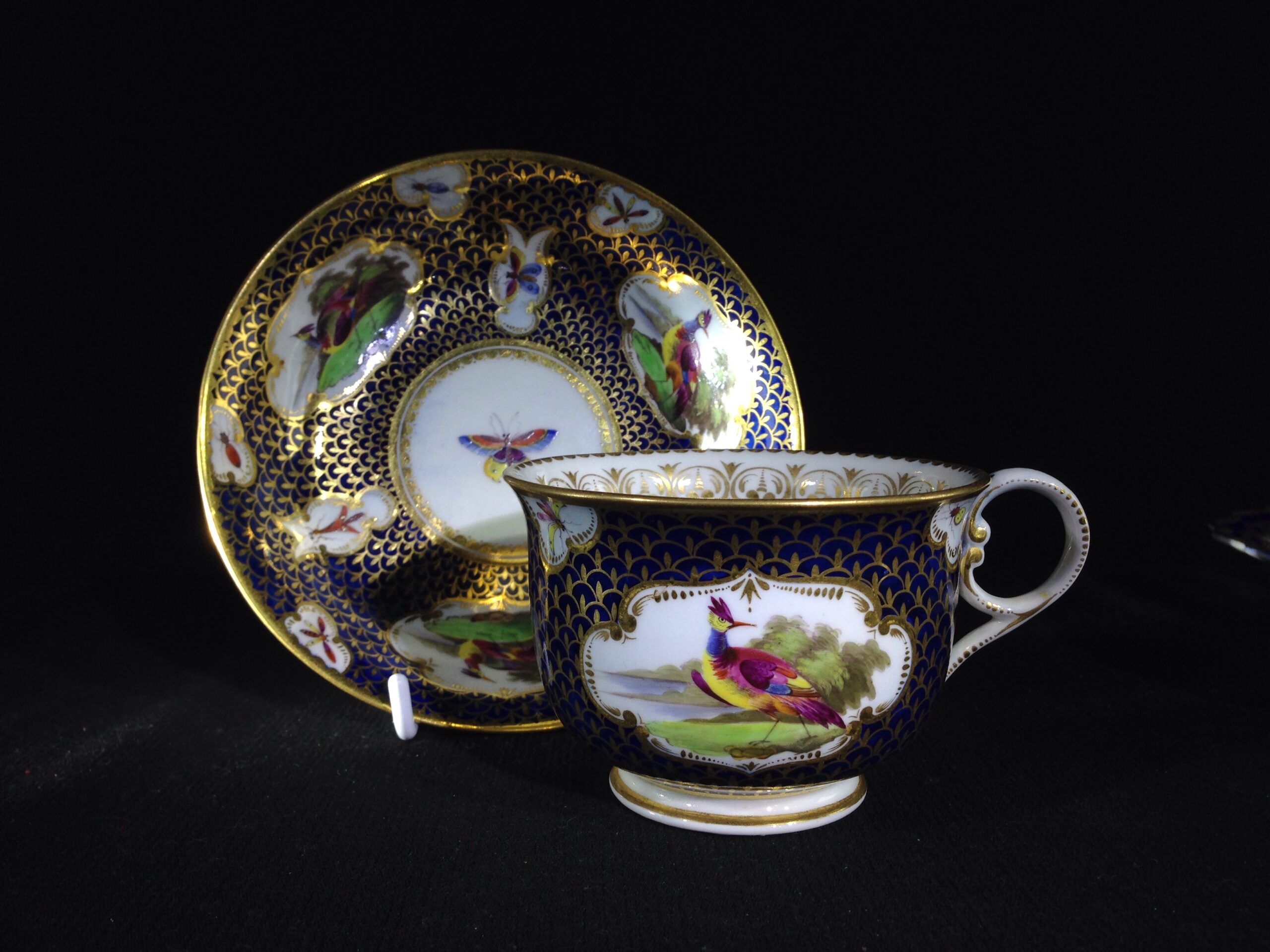 Worcester Flight Barr & Barr Cup & Saucer, fancy birds & gilt scale, c. 1820 -0