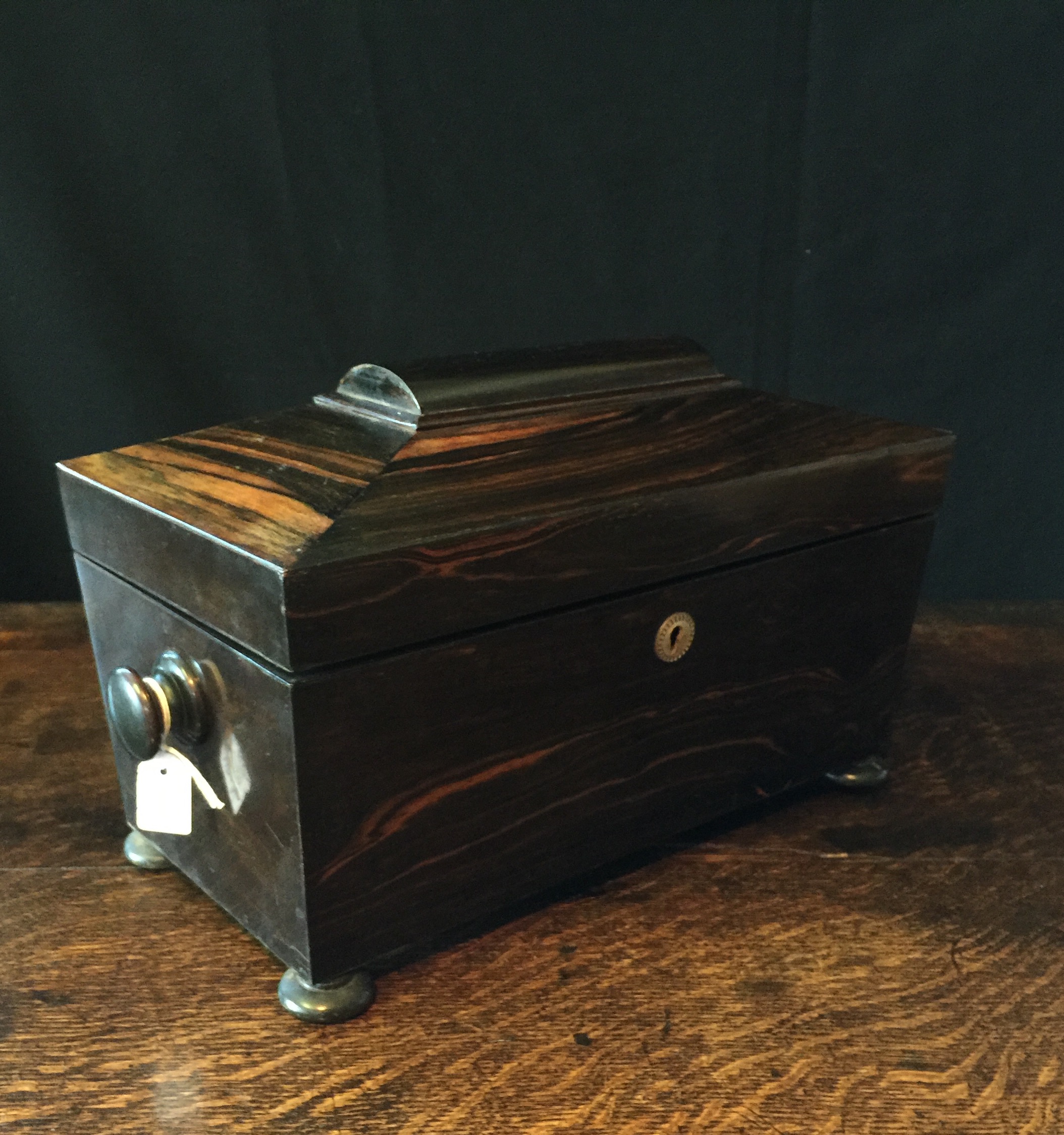 William IV Coromandel wood tea caddy, c.1835 -0