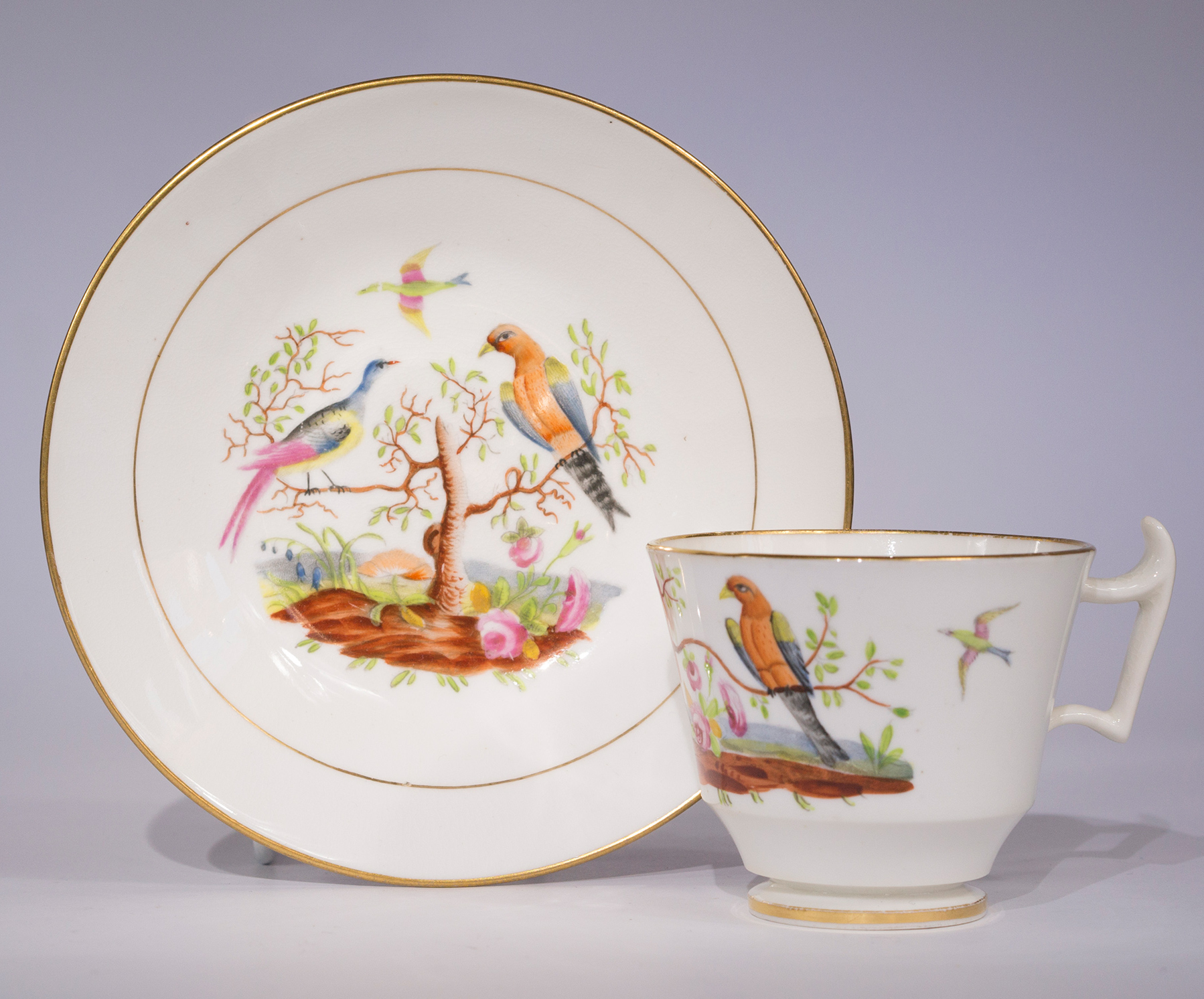 Davenport London Shape cup & saucer, birds, c.1810-0