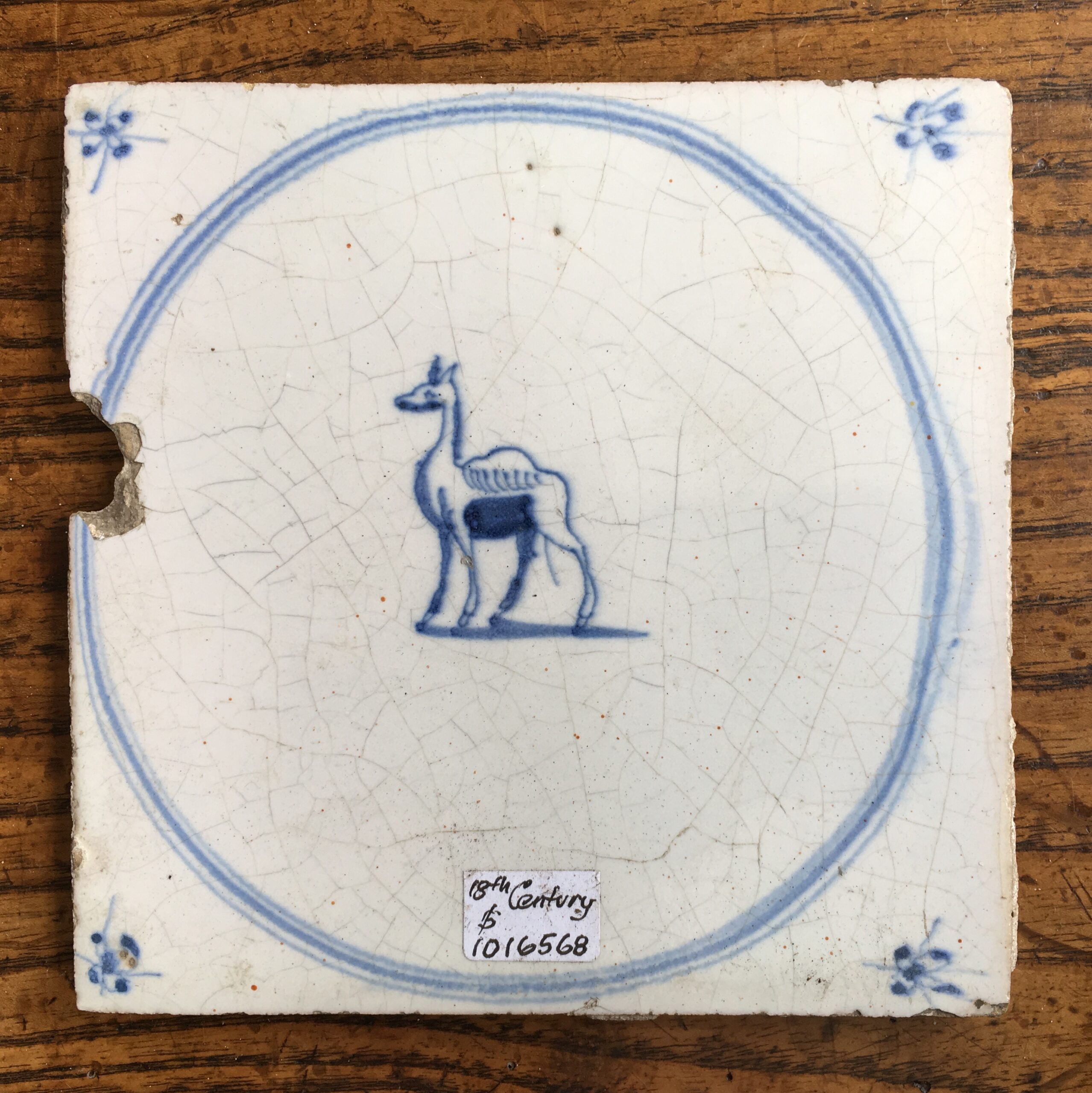 Dutch Delft glazed tile, camel, 17th century. -0