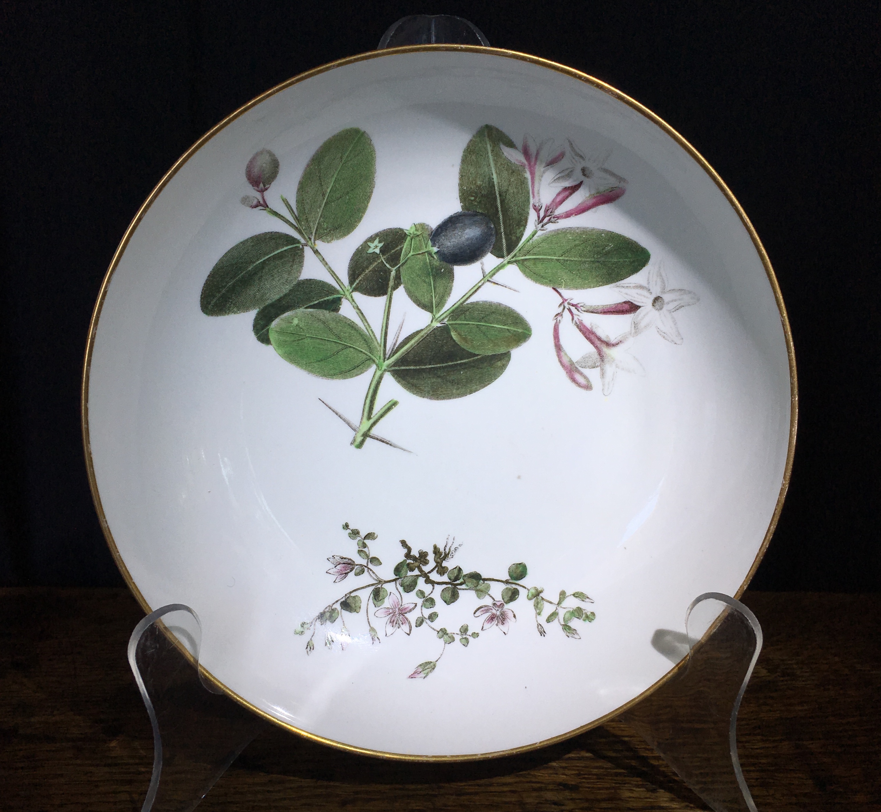 Wedgwood bone china plate, pattern 492, botanical specimens, c. 1815