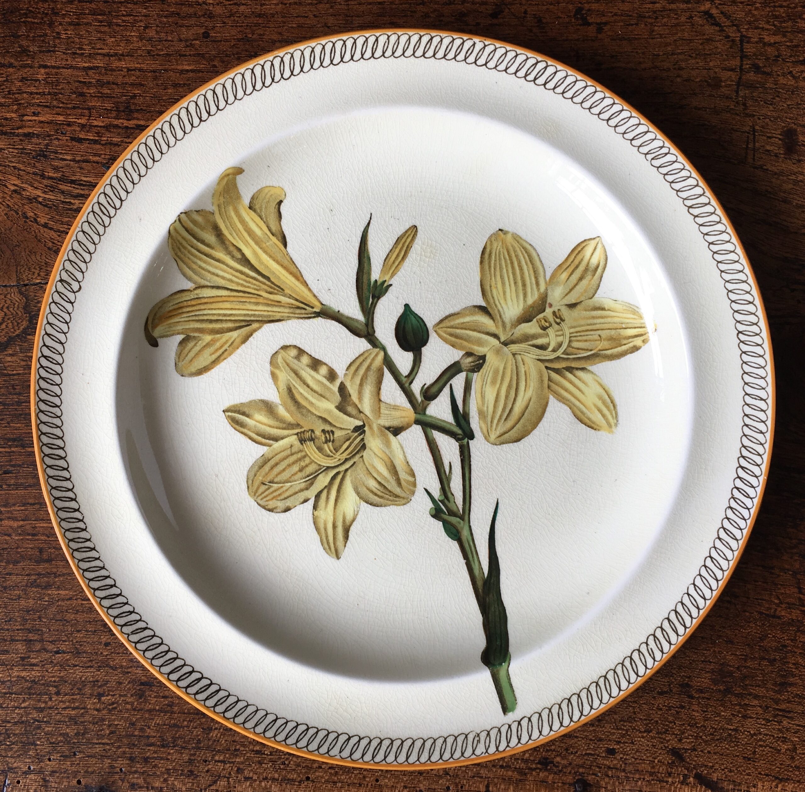 Wedgwood creamware plate , botanical prints, c. 1880-0