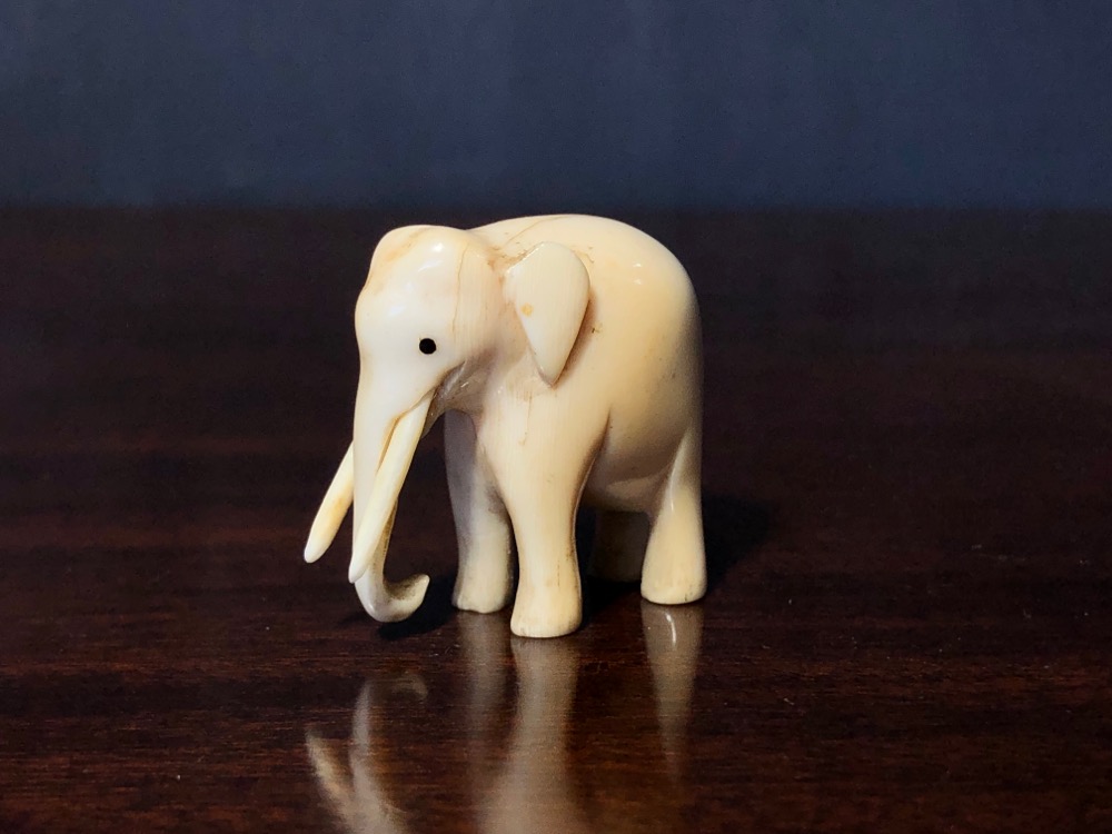 Small Ivory Elephant, Indian 19th century Moorabool Antiques Galleries