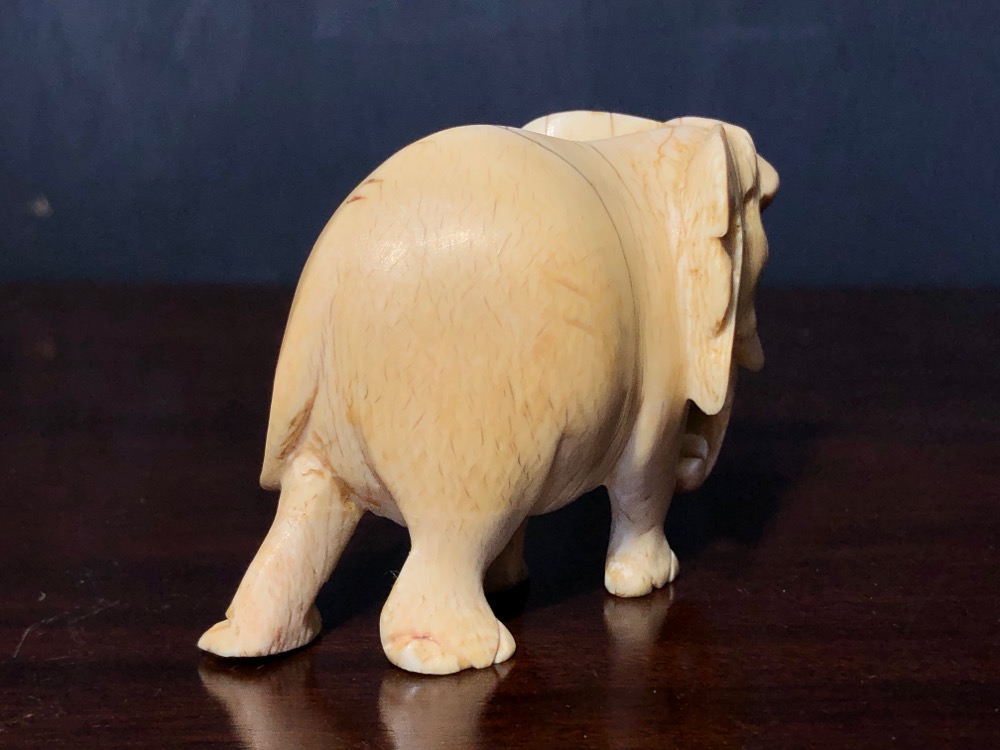 Small Ivory Elephant, Indian 19th century Moorabool Antiques Galleries