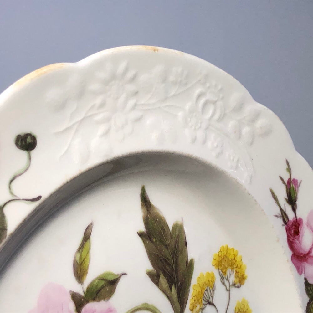 Spode botanical plate, moulded & painted, c. 1820 | Moorabool Antiques ...
