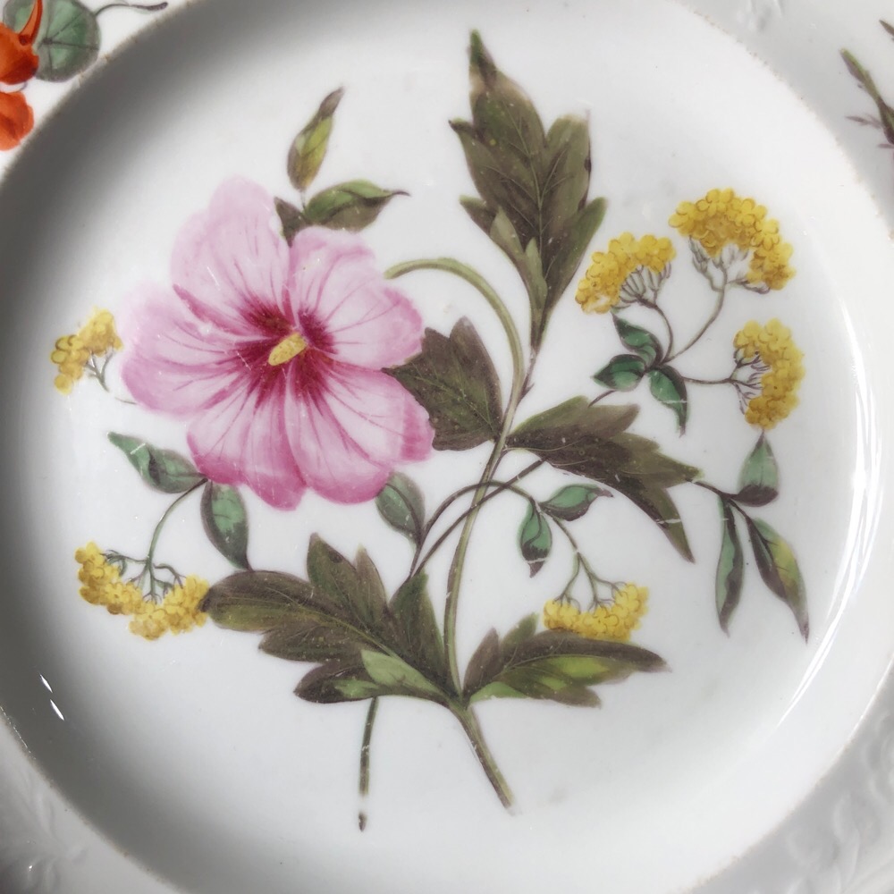 Spode botanical plate, moulded & painted, c. 1820 | Moorabool Antiques ...
