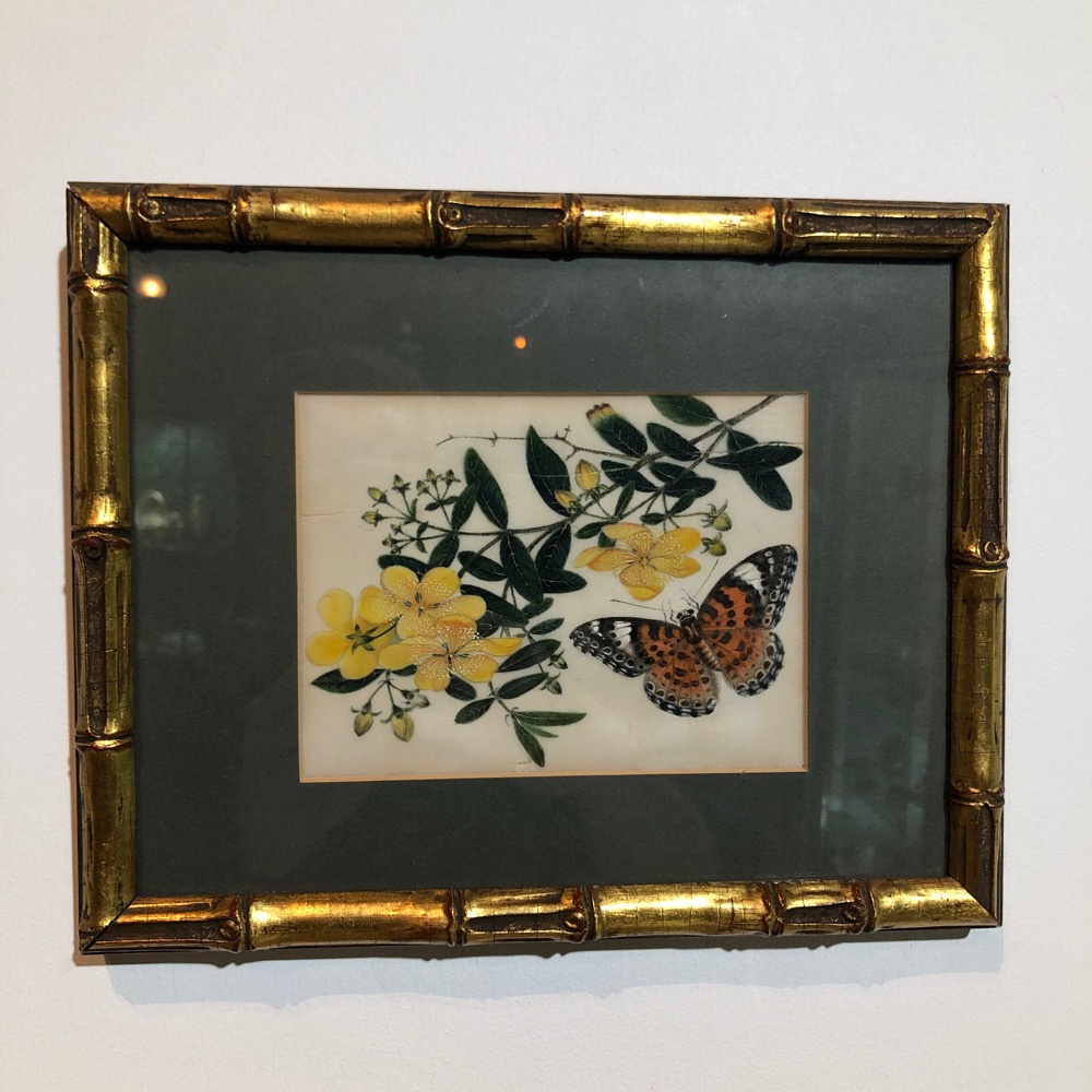 Chinese Export Pith Painting, butterfly & flowers, mid 19thc