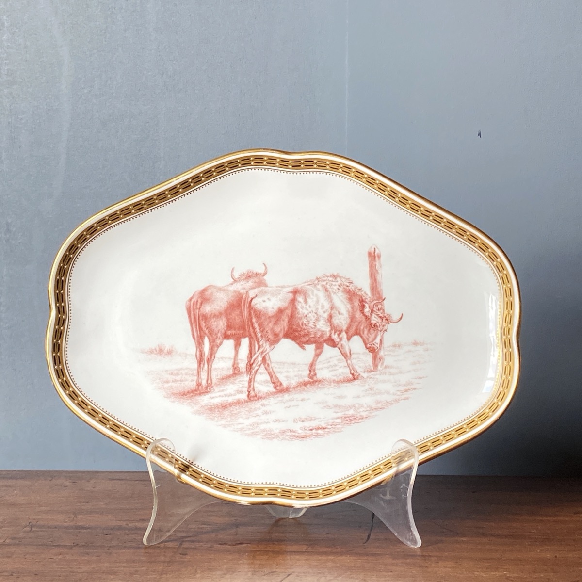 Rare Minton etched technique sample dish by W.J.Goode, presented to J.M.Levy 1868