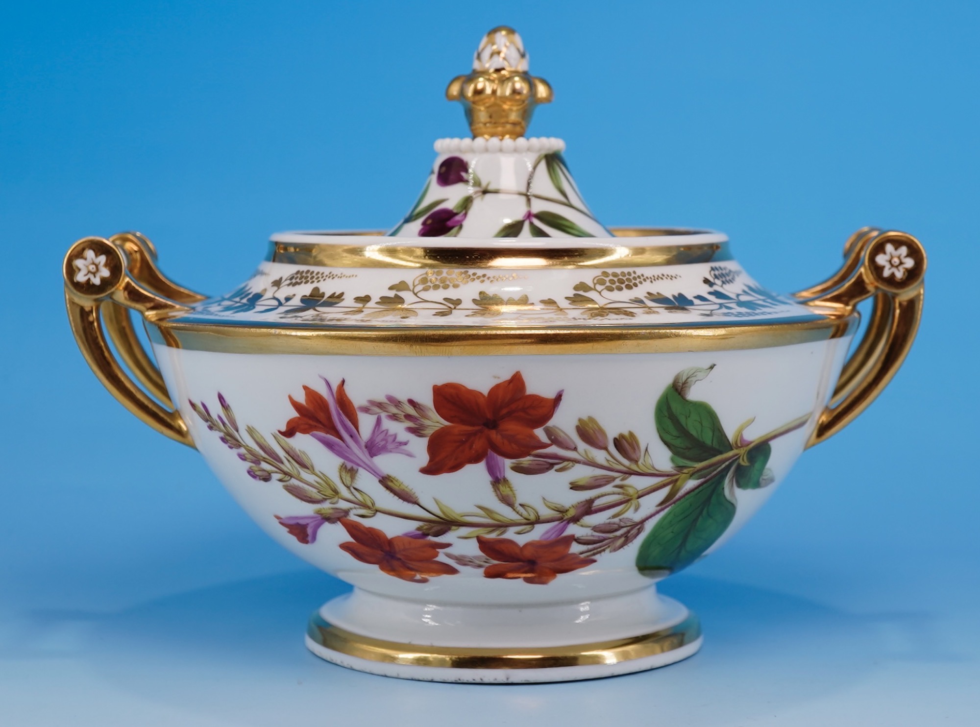 Swansea Porcelain Tureen Curtis Botanical