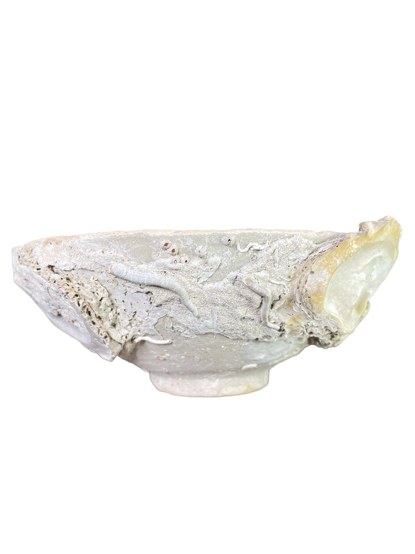 Song Dynasty Chinese Shipwreck Bowl