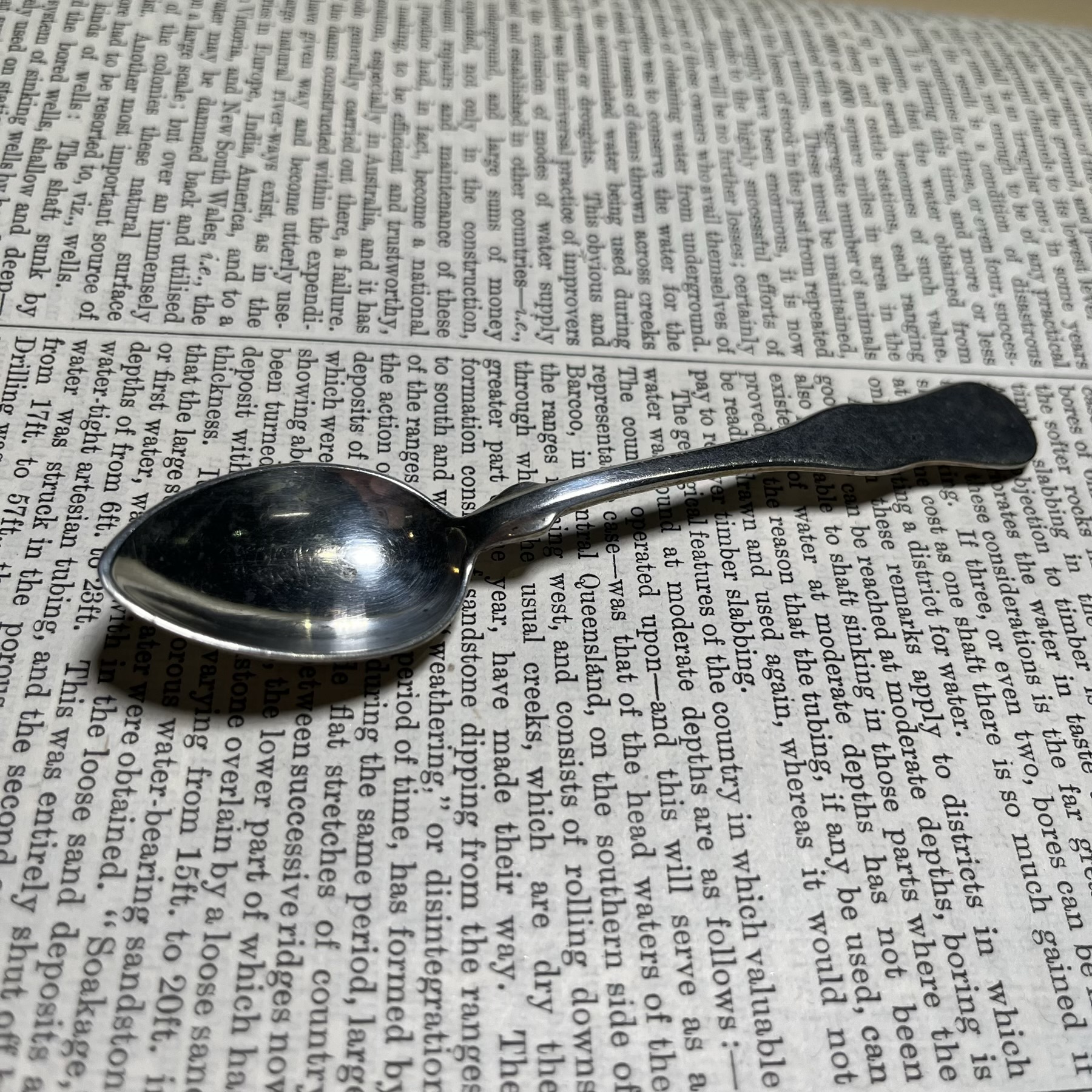 Small Austro-Hungarian .800 Silver Spoon, 19th c.