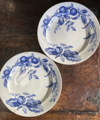 Pair of F.W Grove 'Walnut' pattern earthenware dinner plates, circa 1885