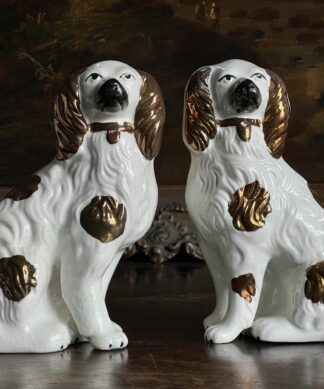 Staffordshire Dogs at Moorabool Antiques, Geelong