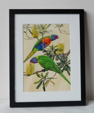 Rainbow Lorikeets in Banksia, Gauche by Edward Bell 1969