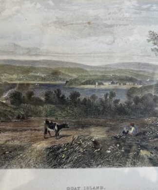 Framed hand coloured engraving 'Goat Island' C. 1874