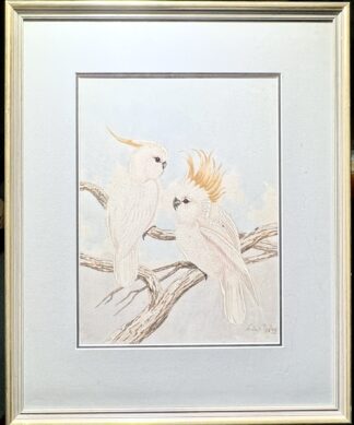 Neville W Cayley 'Sulphur-Crested Cockatoos' watercolour, early 20th c.