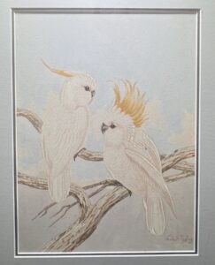 Neville W. Cayley - Sulphur Crested Cockatoos, circa 1920 