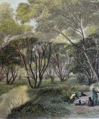 Framed hand coloured engraving 'Mallee Scrub, River Murray' aboriginal group, 1874