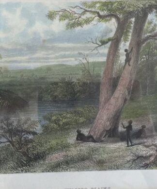 Framed hand coloured engraving 'The Gwalior Plains' C. 1874