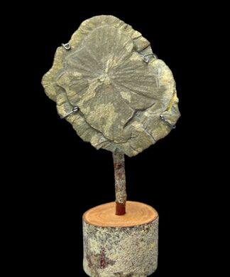 Pyrite Sun