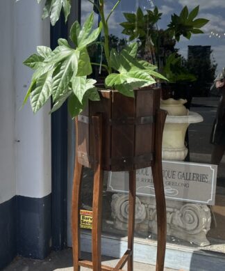 Australian hardwood plant stand, barrel form top, c. 1910