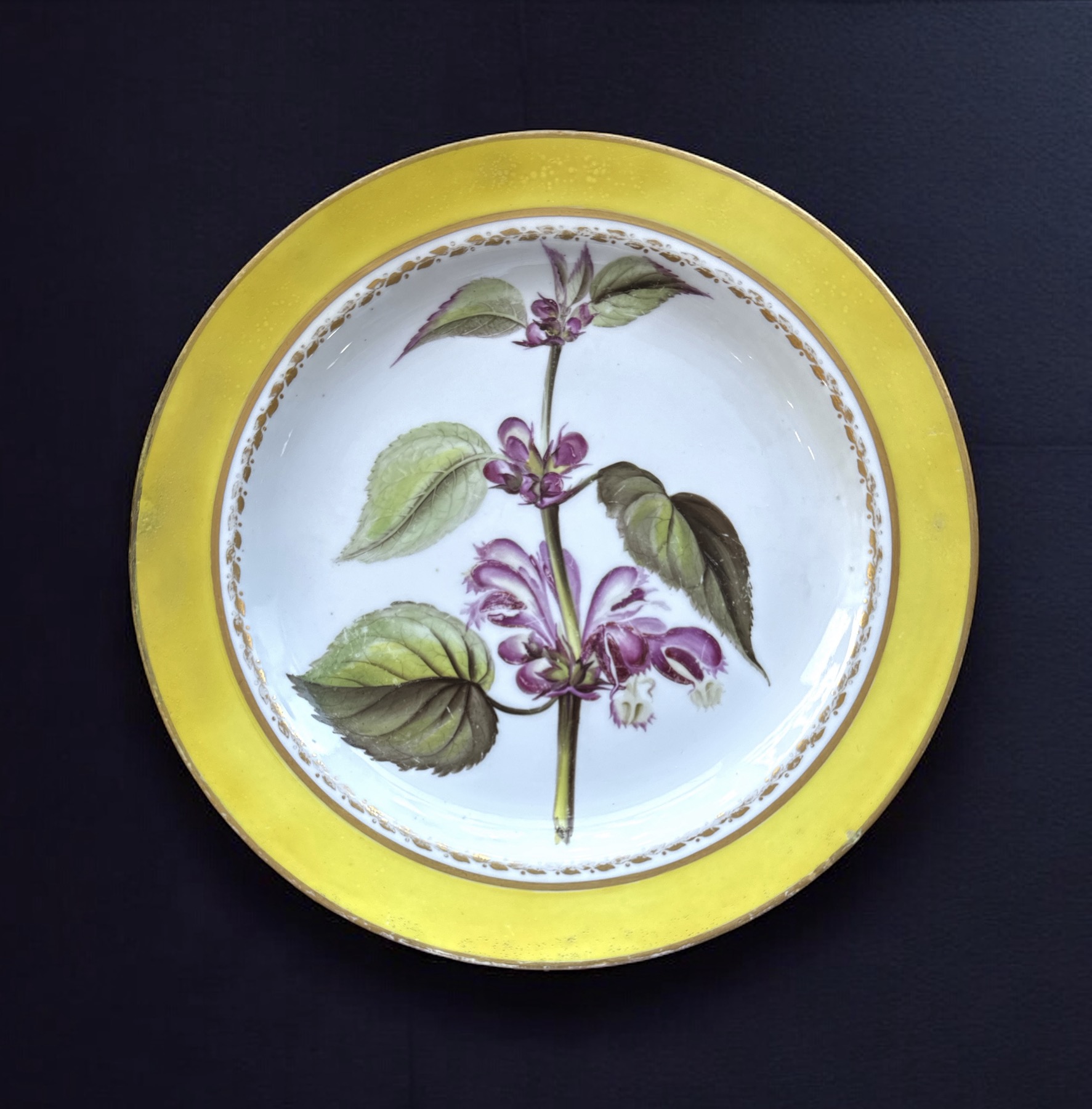 'Quaker Pegg' Derby Botanical plate, 'Balm Leaved Archangel', c. 1796